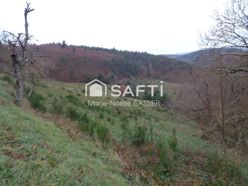 Maison - 340 m² - 5 pièces