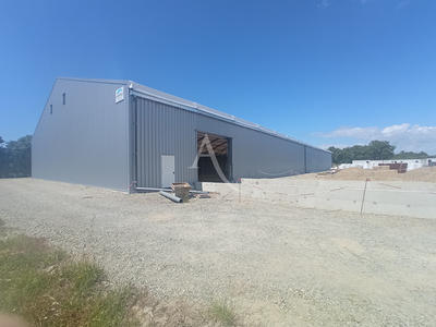 Local d'activité / Entrepôt - 150 m²