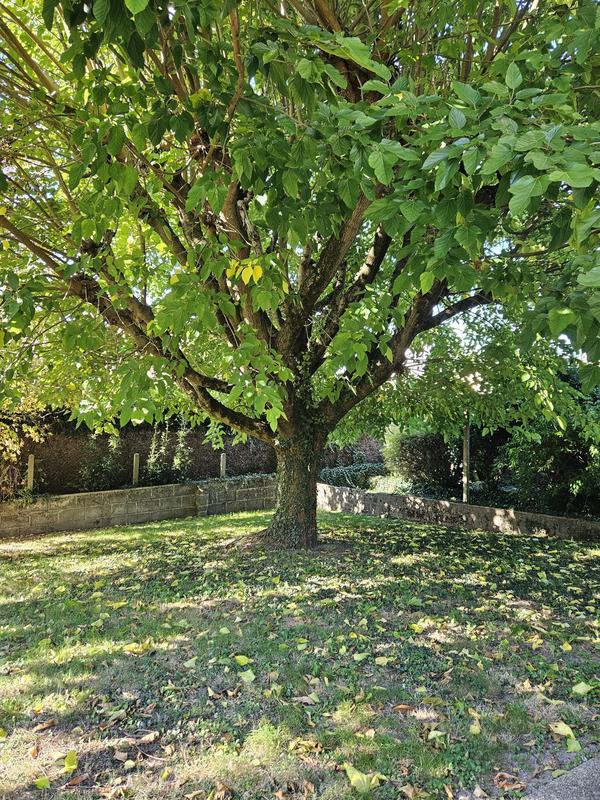 Maison - 78 m² - 4 pièces