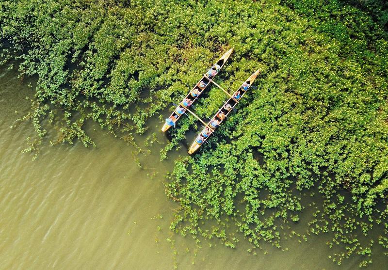 Balade nature en pirogue hawaïenne - Faune Landaise