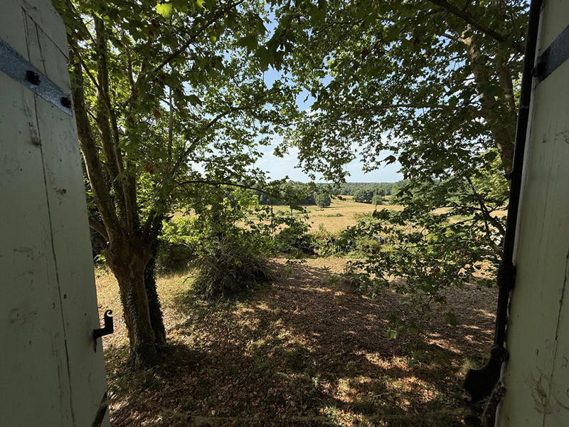 Maison - 300 m² - 12 pièces