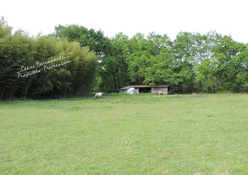 Maison - 200 m² - 7 pièces