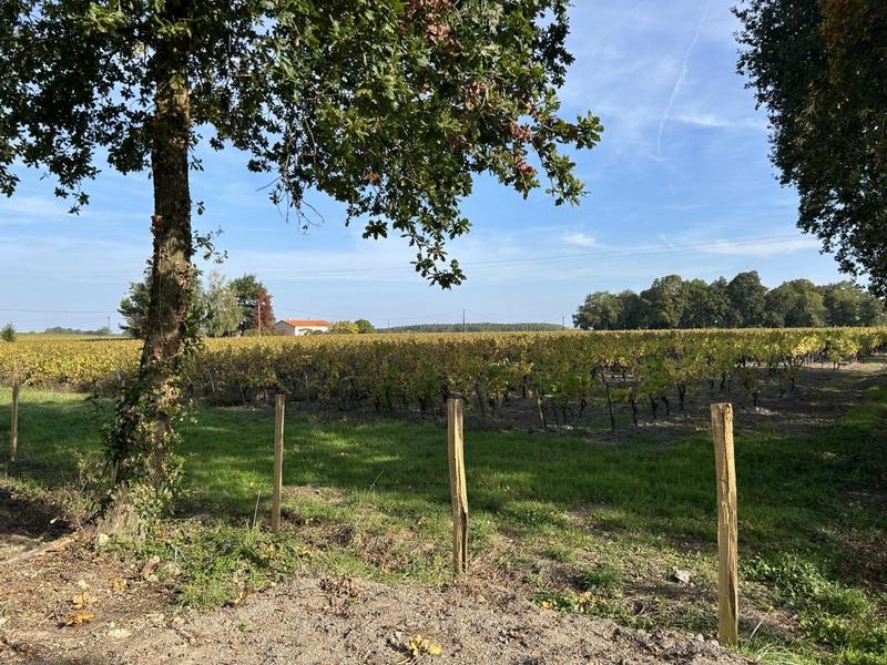 Terrain constructible - 736 m²