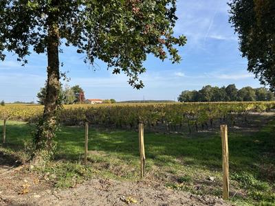 Terrain constructible - 736 m²