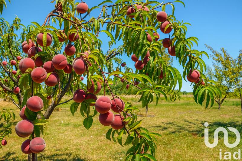 Maison - 215 m² - 8 pièces