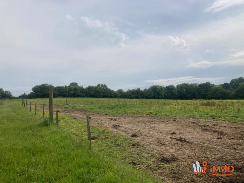 Maison - 299 m² - 12 pièces