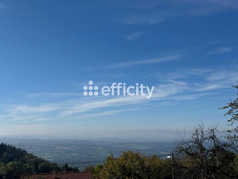 Terrain - 2 949 m²