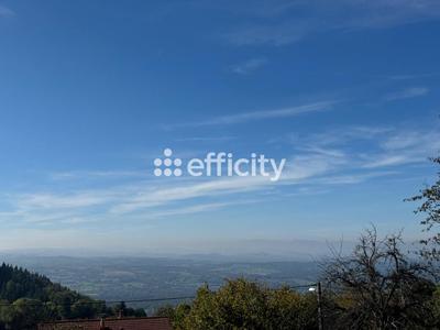 Terrain - 2 949 m²