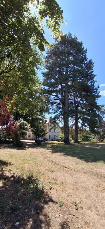 Manoir - 1 200 m² - 19 pièces