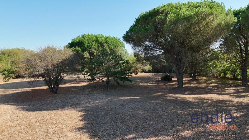 Maison - 146 m² - 5 pièces