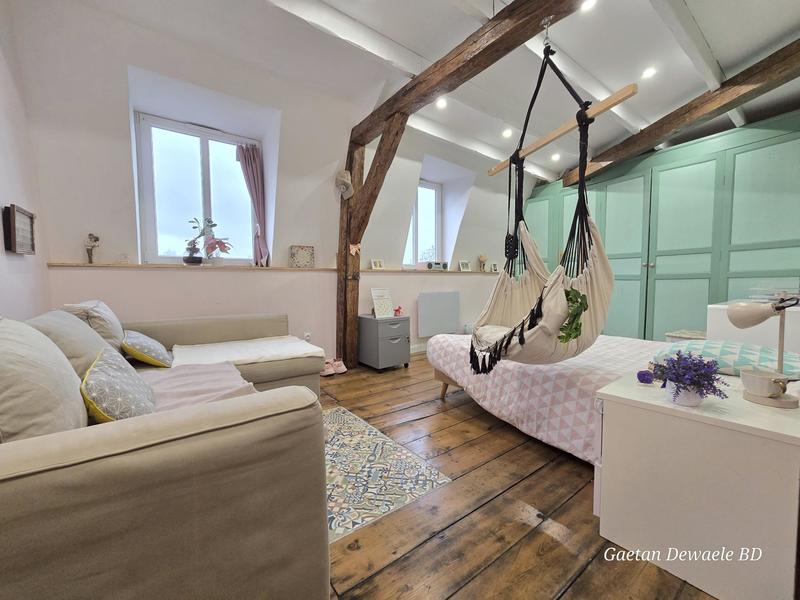 Maison de maîtres - 360 m² - 9 pièces