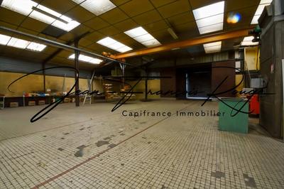 Local d'activité / Entrepôt - 1 635 m² - 12 pièces