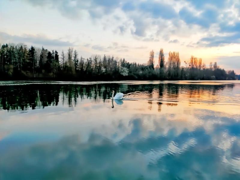 Maison - 211 m² - 7 pièces