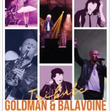 Tribute Goldman &amp; Balavoine