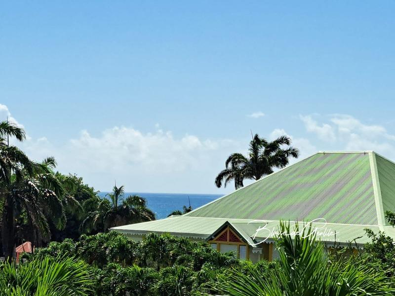 Appartement - 35 m² - 1 pièce