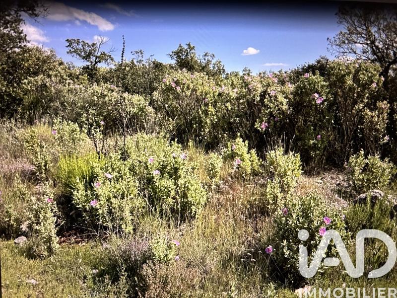 Terrain - 10 077 m²