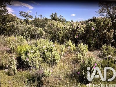 Terrain - 10 077 m²