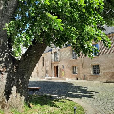 Conférence &quot;Niki de Saint Phalle, Jean Tinguely, Pontus Hulten&quot;