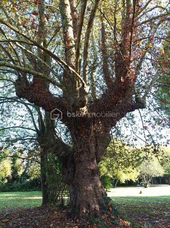 Terrain - 10 907 m²