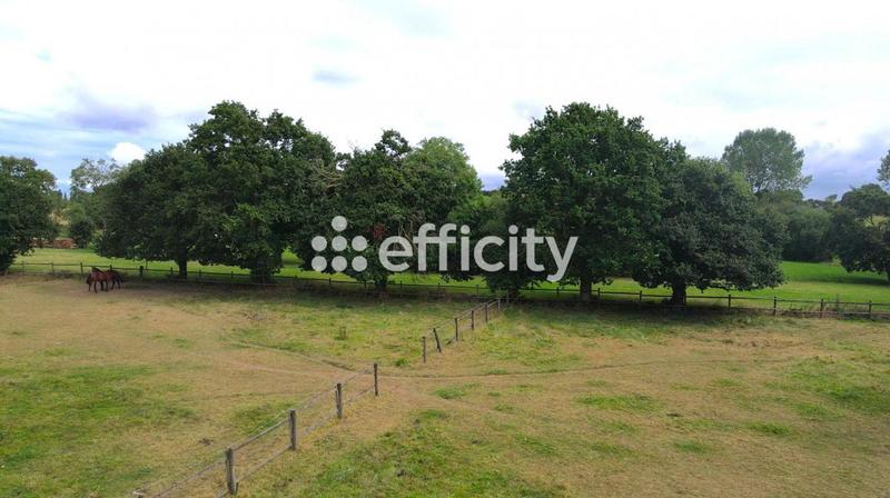 Maison de domaine équestre - 137 m² - 6 pièces