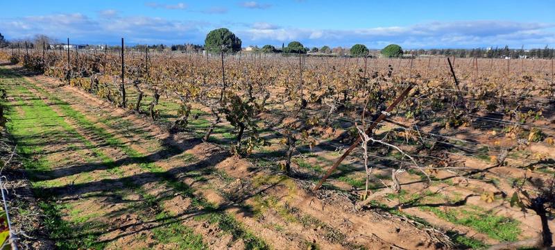 Terrain agricole - 22 800 m²