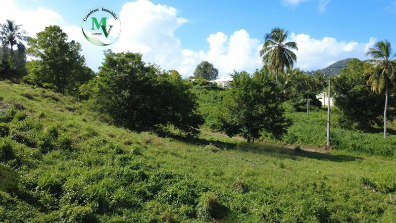 Terrain constructible - 1 241 m²