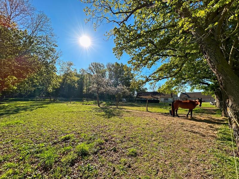 Maison de domaine équestre - 520 m² - 7 pièces