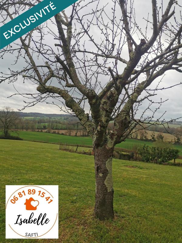 Maison - 75 m² - 4 pièces