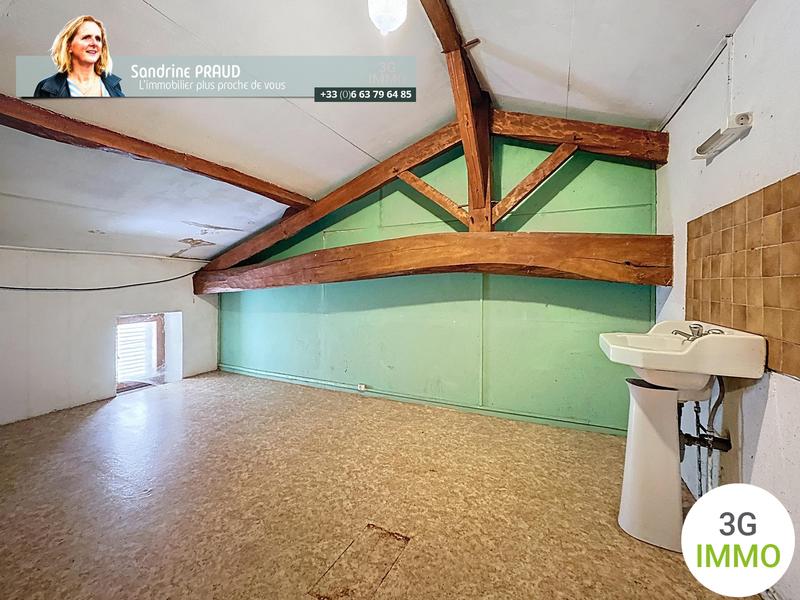 Maison ancienne - 163 m² - 9 pièces