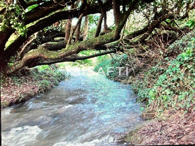 Maison - 525 m² - 23 pièces