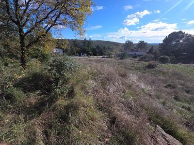 Terrain constructible - 1 781 m²