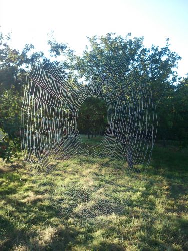 Des Bouteilles à l'Amère