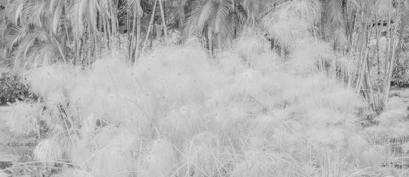 Exposition Chaumont-Photo-sur-Loire