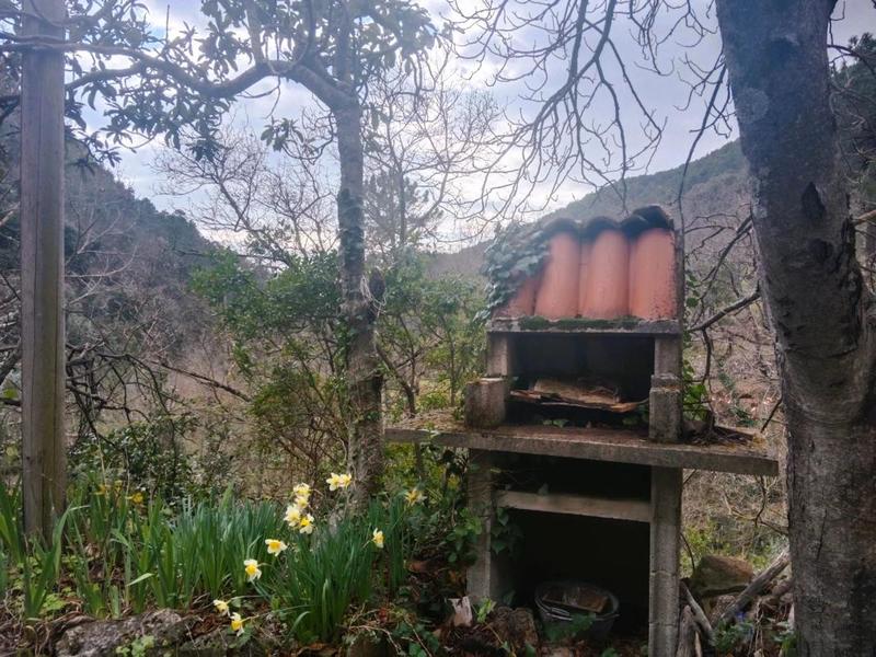 Maison - 40 m² - 3 pièces