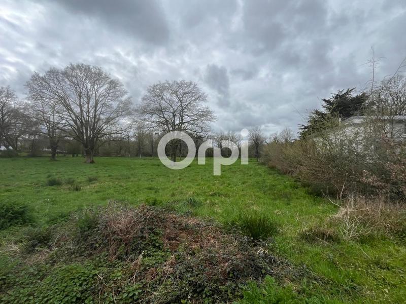 Terrain constructible - 9 566 m²