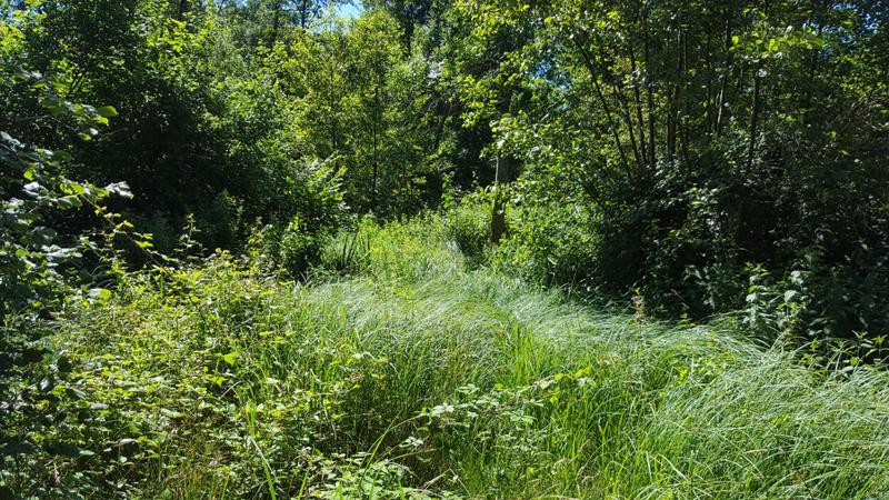 Propriété - 835 m² - 32 pièces