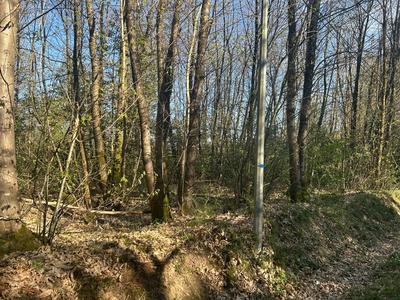 Terrain de loisirs - 16 366 m²