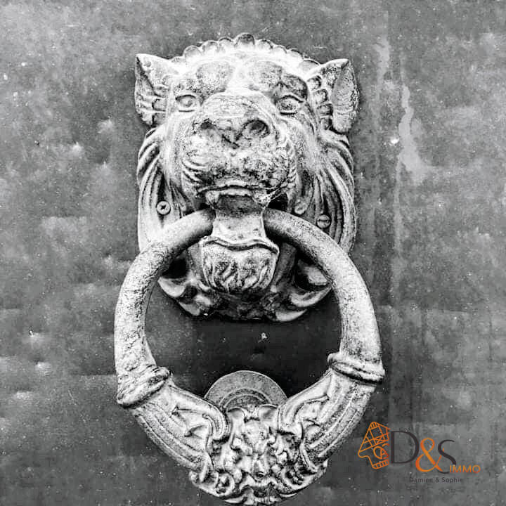 Local commercial - 175 m²