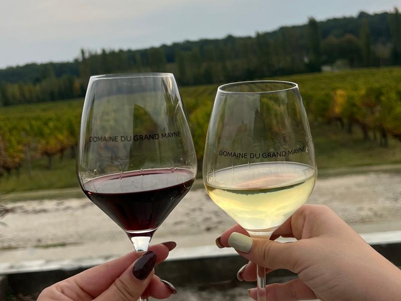 Tour du domaine et dégustation au Domaine du Grand Mayne