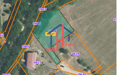 Terrain - 1 255 m²