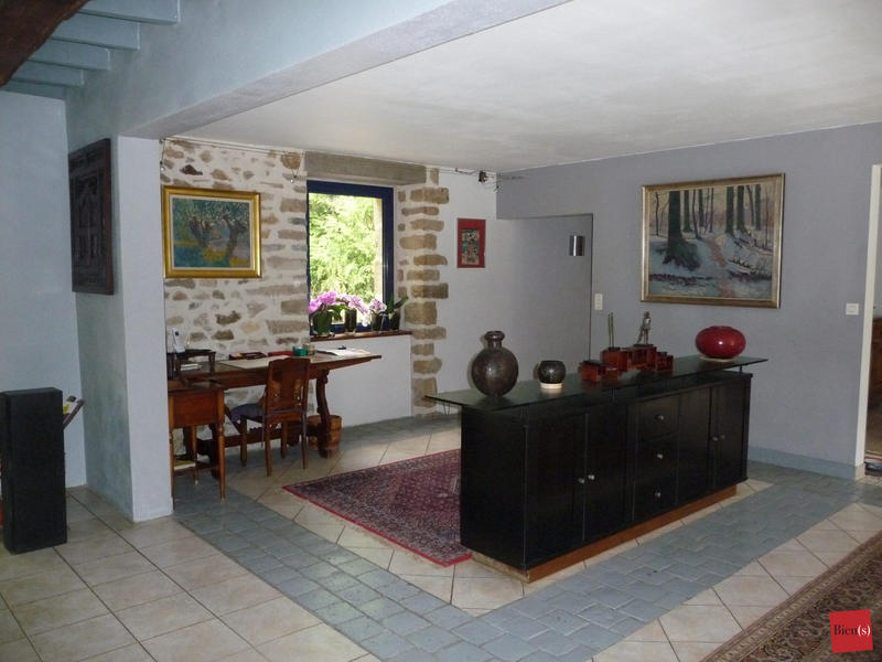Maison ancienne - 476 m² - 13 pièces