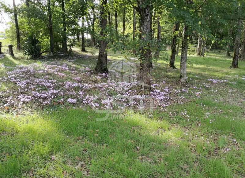 Maison ancienne - 200 m² - 7 pièces