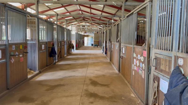 Maison de domaine équestre - 141 m² - 7 pièces