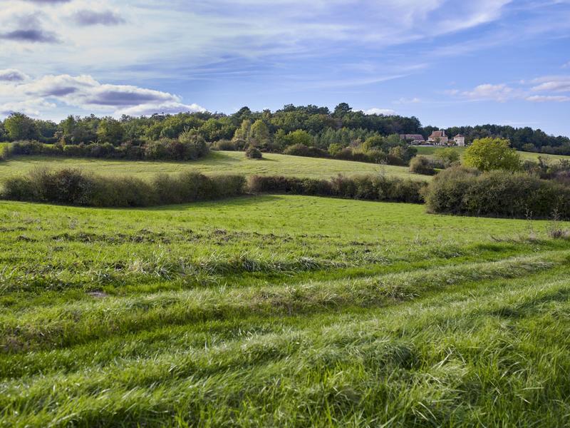 Maison ancienne - 682 m² - 17 pièces