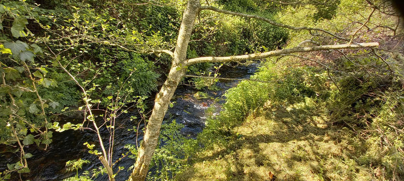 Maison - 100 m² - 6 pièces