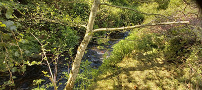 Maison - 100 m² - 6 pièces