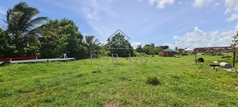 Terrain constructible - 781 m²