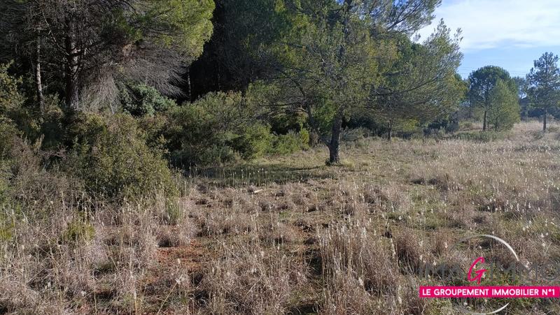 Terrain agricole - 5 224 m²