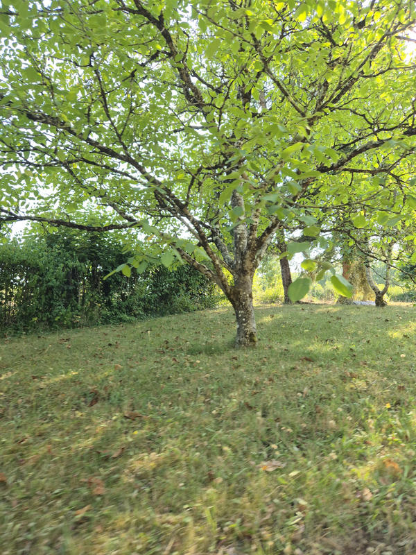 Maison - 137 m² - 6 pièces