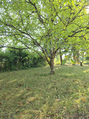 Maison - 137 m² - 6 pièces